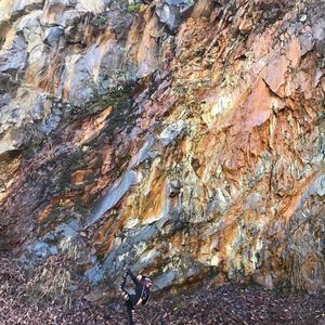 Meet your Posher, Shelby